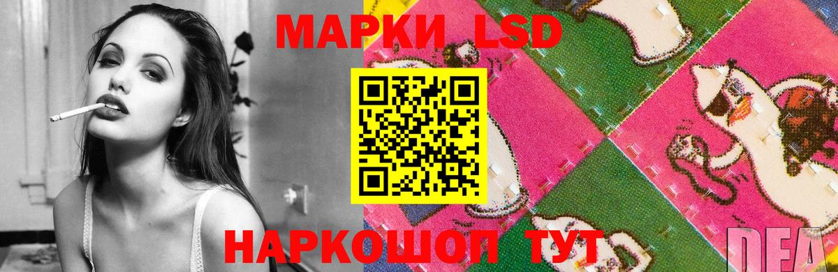 Каннабис Майский