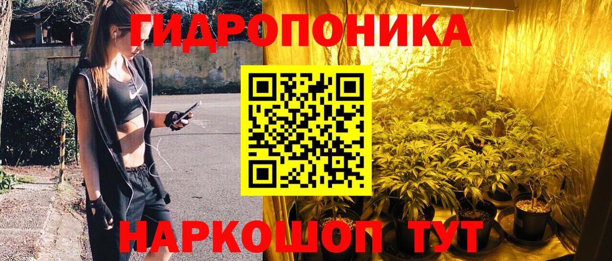 Канабис Amnesia  Бошки Шишки ГИДРОПОН  Майский  Канабис ГИДРОПОН  Вход с VPN 